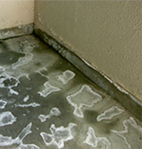 建物診断ポイント８：外壁に汚れ、カビや藻が発生している